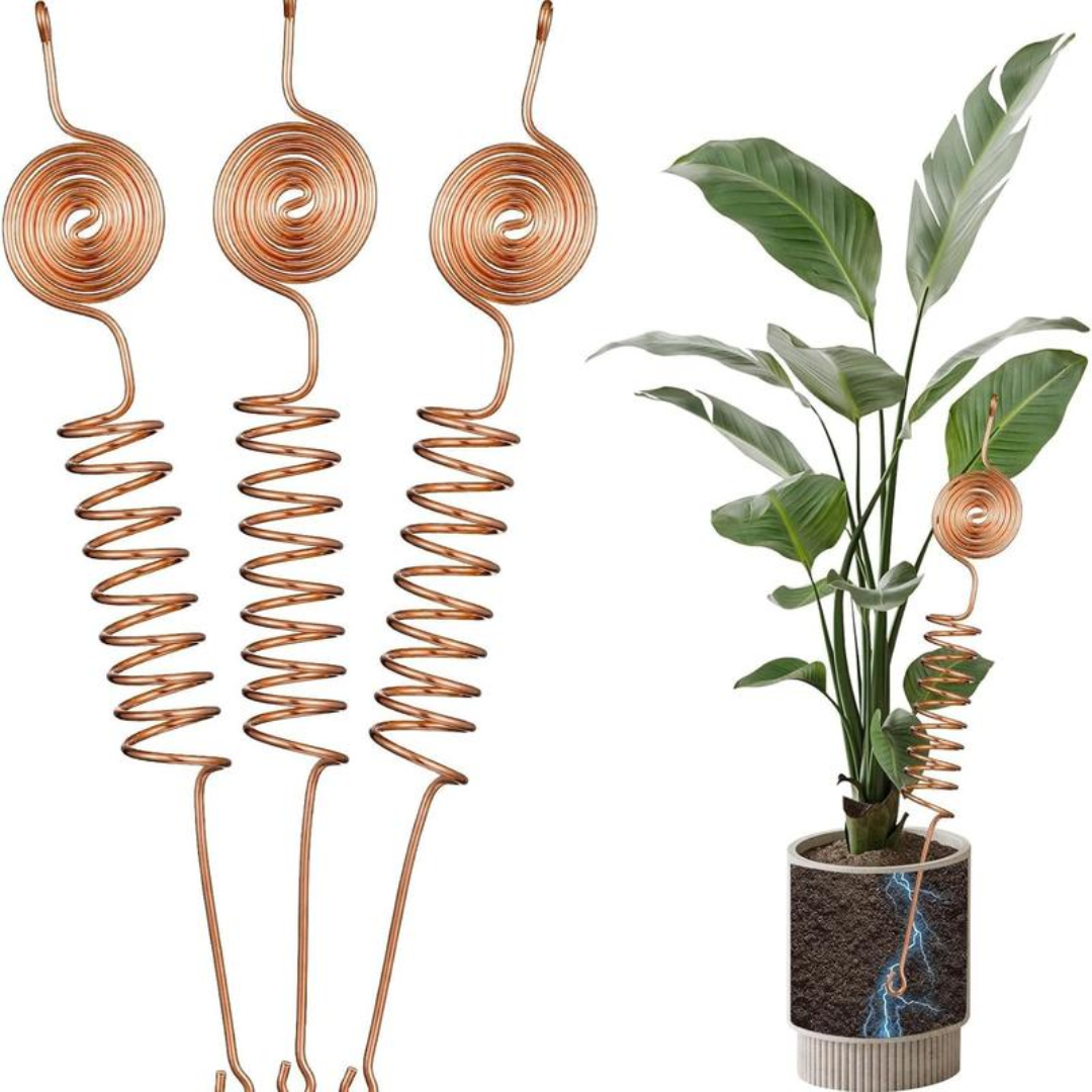 RootCharge™ – 5 PCS Copper Garden Support Stakes Set