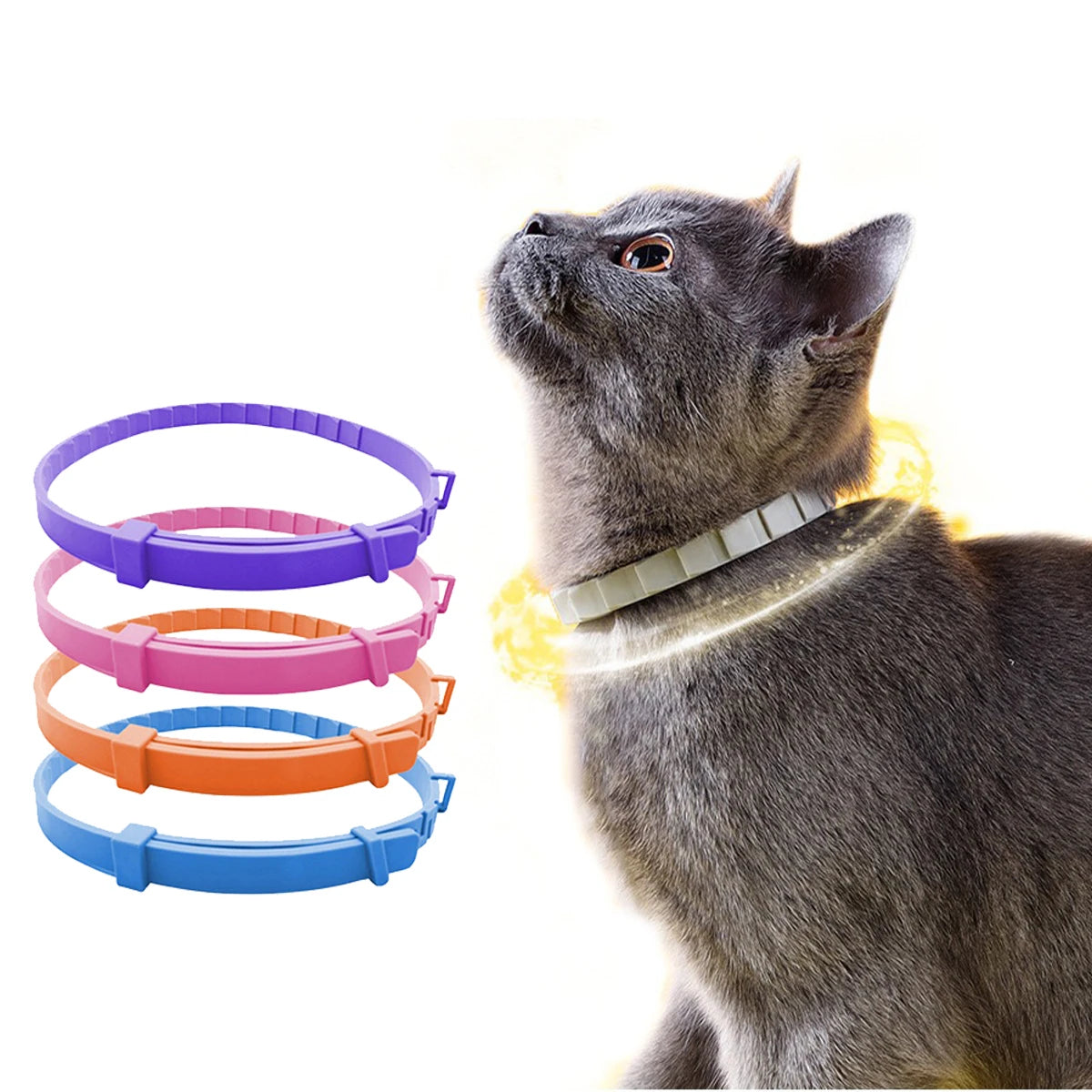 ZenPaws™ – Stress-Free Pets, Happy Homes