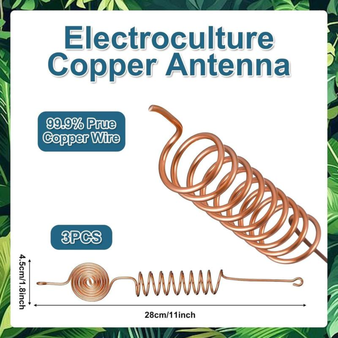 RootCharge™ – 5 PCS Copper Garden Support Stakes Set