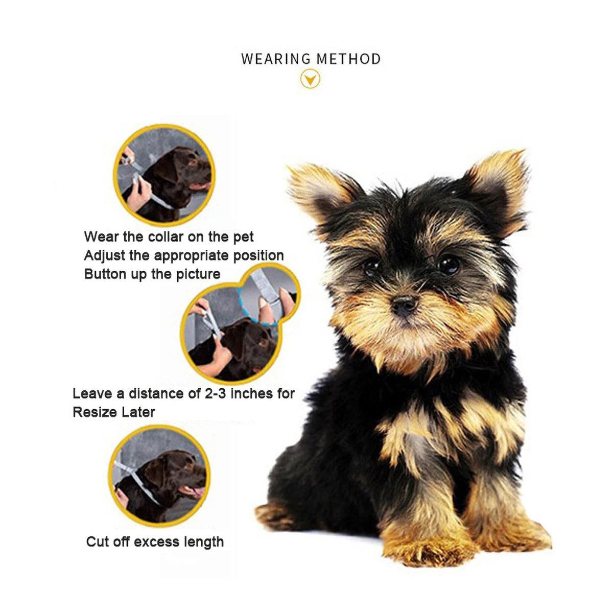 ZenPaws™ – Stress-Free Pets, Happy Homes