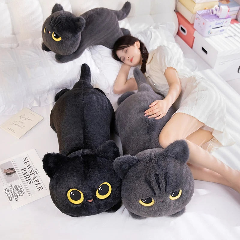 PurrPuff™ – The Softest Meow You'll Ever Hug