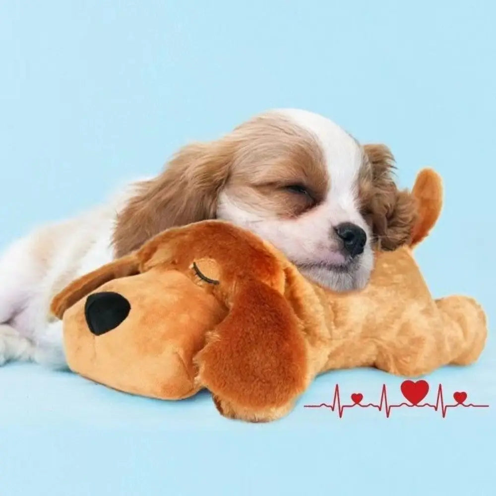 CalmPup™ – Heartbeat Anxiety Relief Dog Comfort Toy