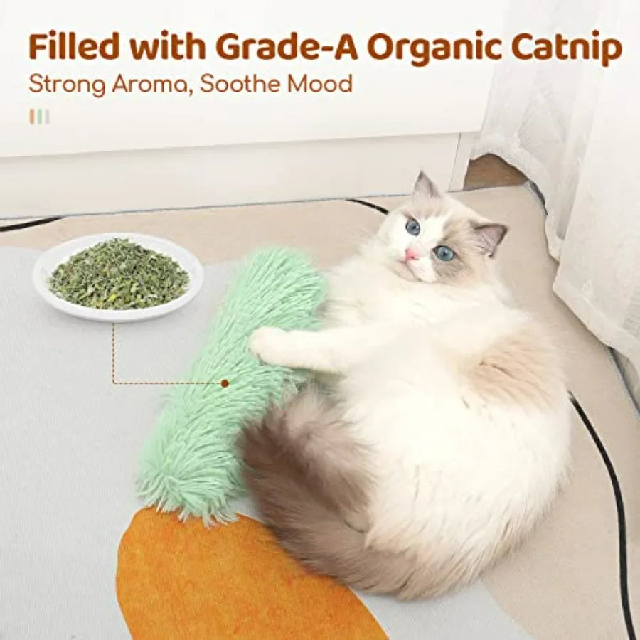 MeowMate™ – 3 PCS Textured Cat Play Toy Set
