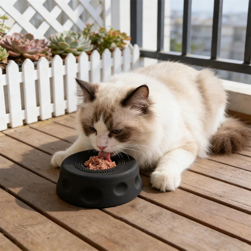 PacePet™ - Anti-Gulp Slow Feeder Dog Bowl