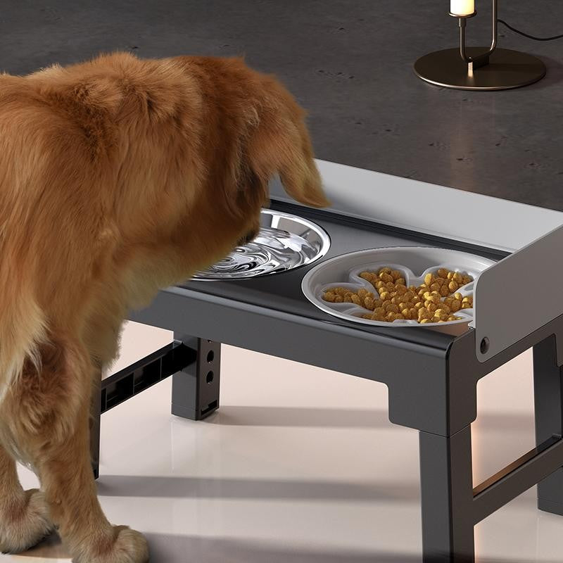 PawDine™ – Elevated Comfort, mess-Free