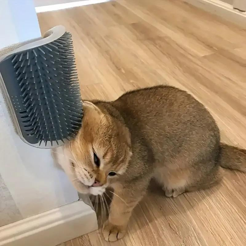 PurrBrush™ – Gentle Grooming, Happy Cats