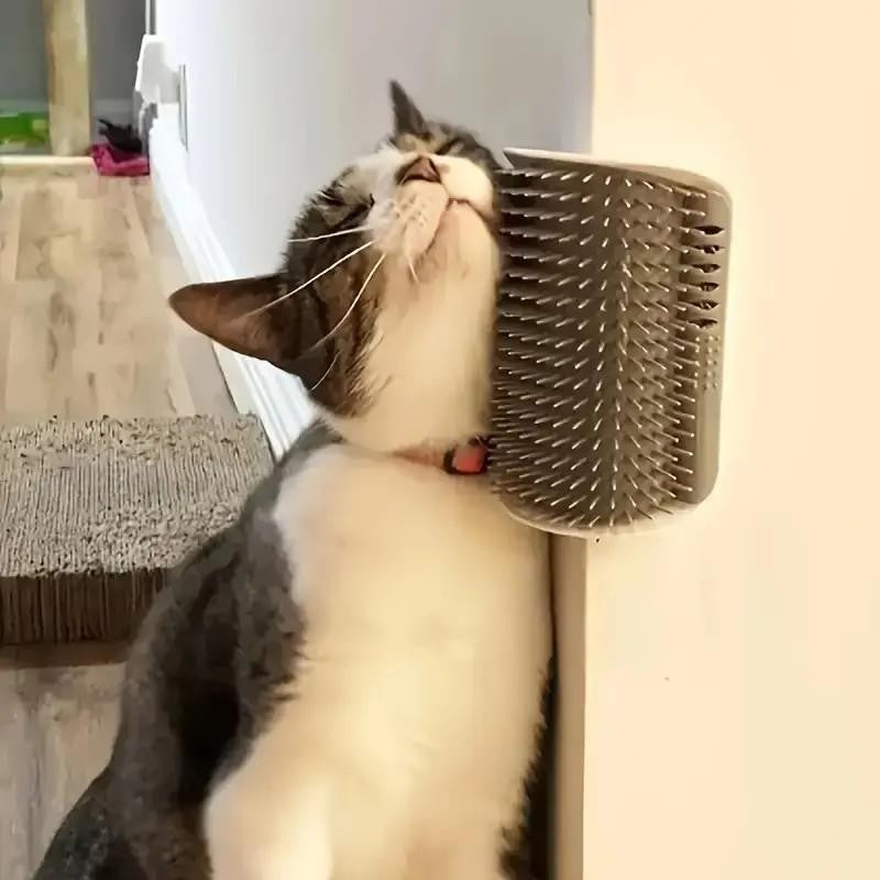 PurrBrush™ – Gentle Grooming, Happy Cats