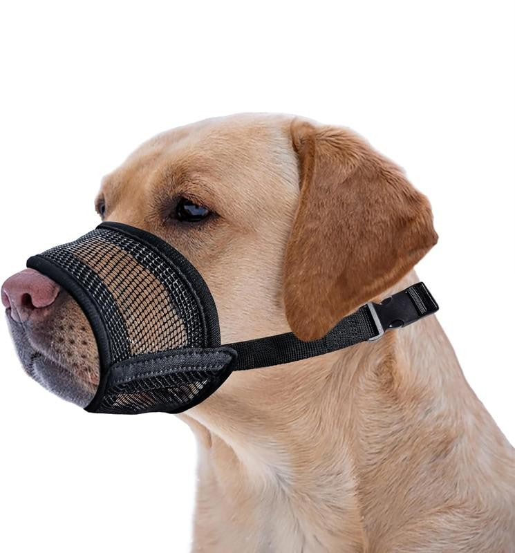 AirMuzzle™ – Breathe Easy, Walk Safe