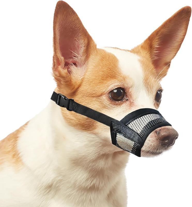 AirMuzzle™ – Breathe Easy, Walk Safe
